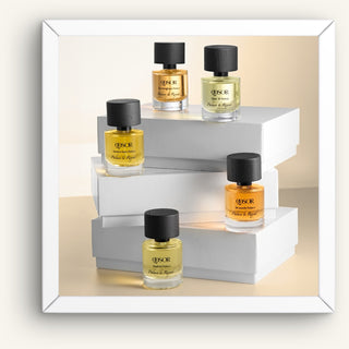 Palace Le Royal Discovery Set