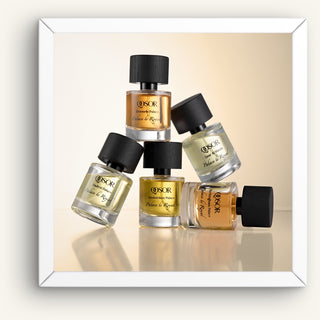 Palace Le Royal Discovery Set